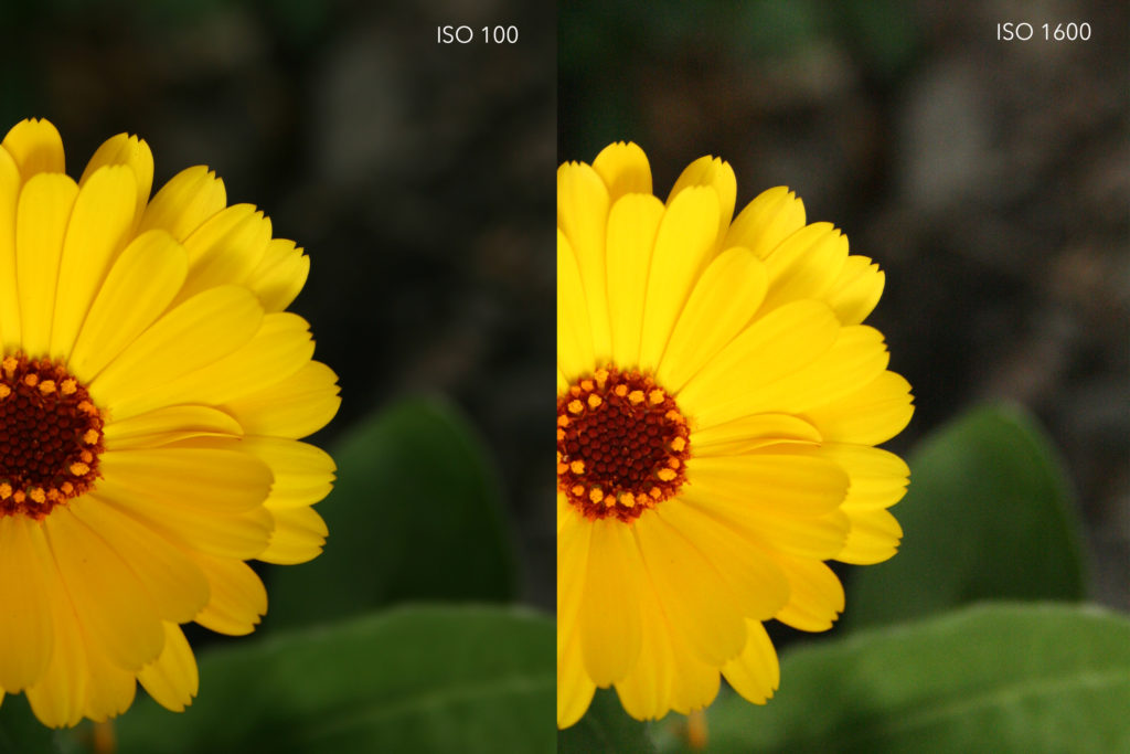 iso comparison closer