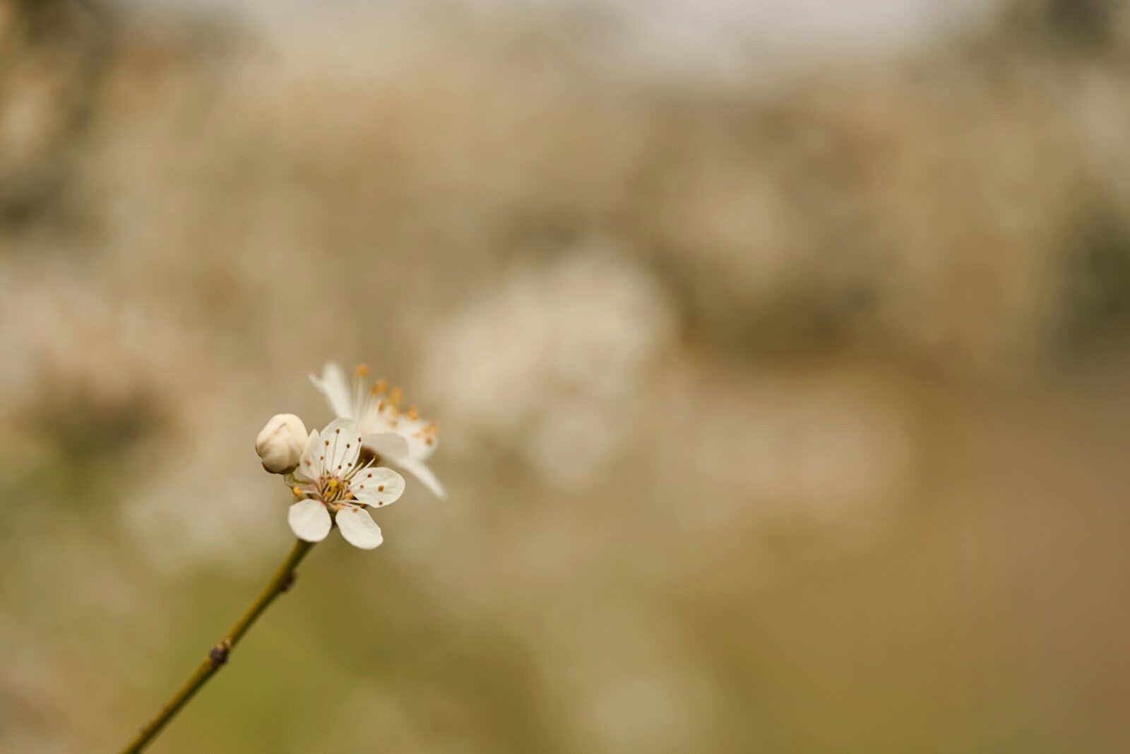Creative negative-space photography example