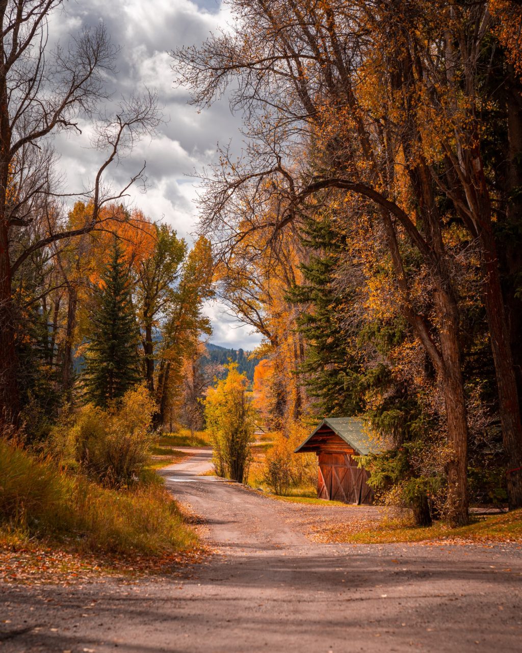 jackson hole