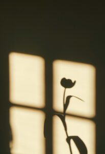 john-paul-henry-se-ehDXJ7zM-unsplash