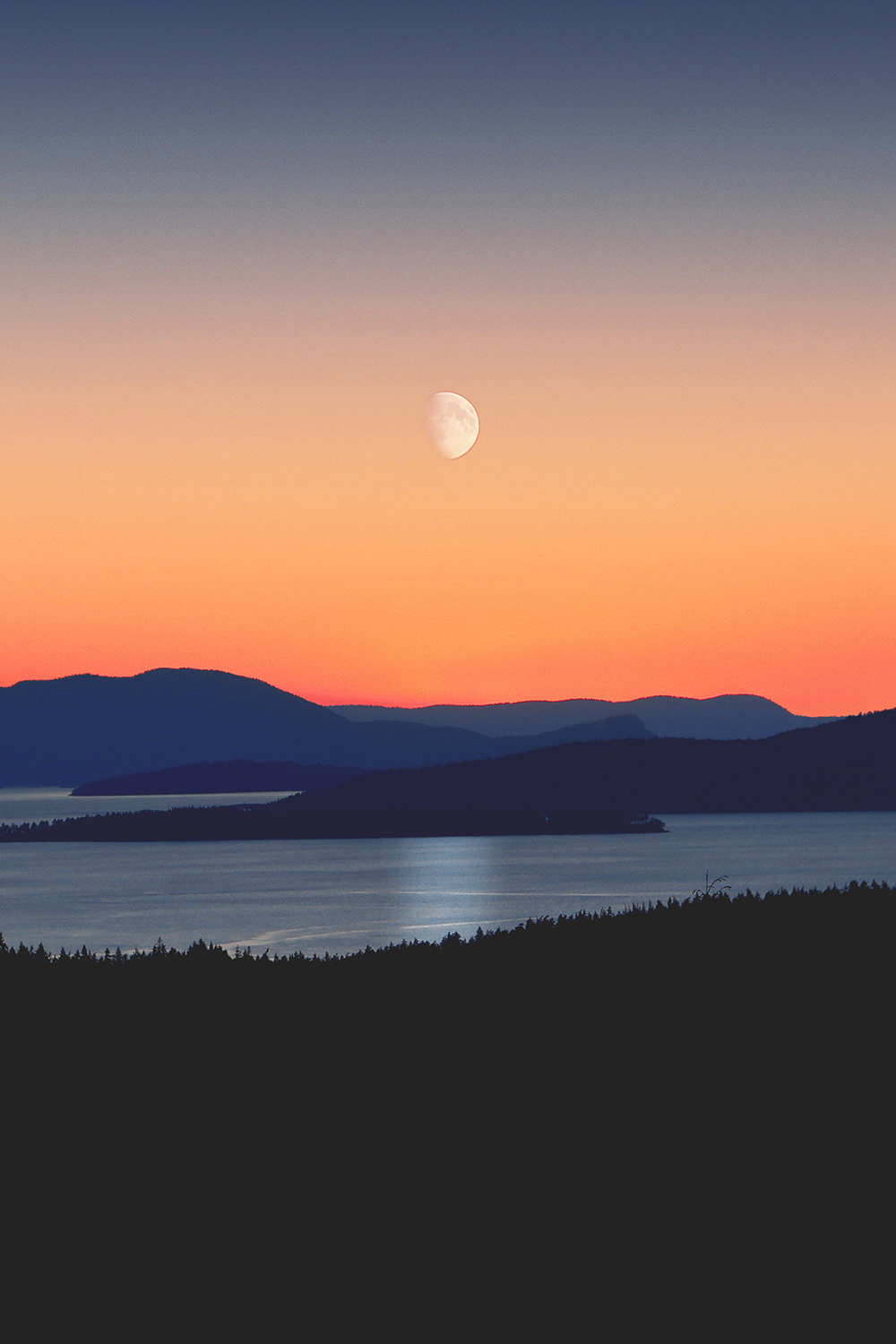 Bellingham, United States