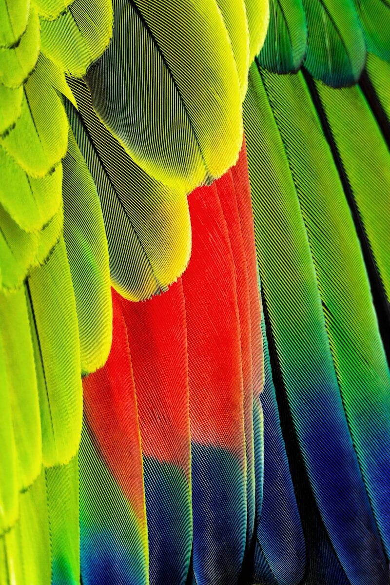 Colour photography contest inspiration