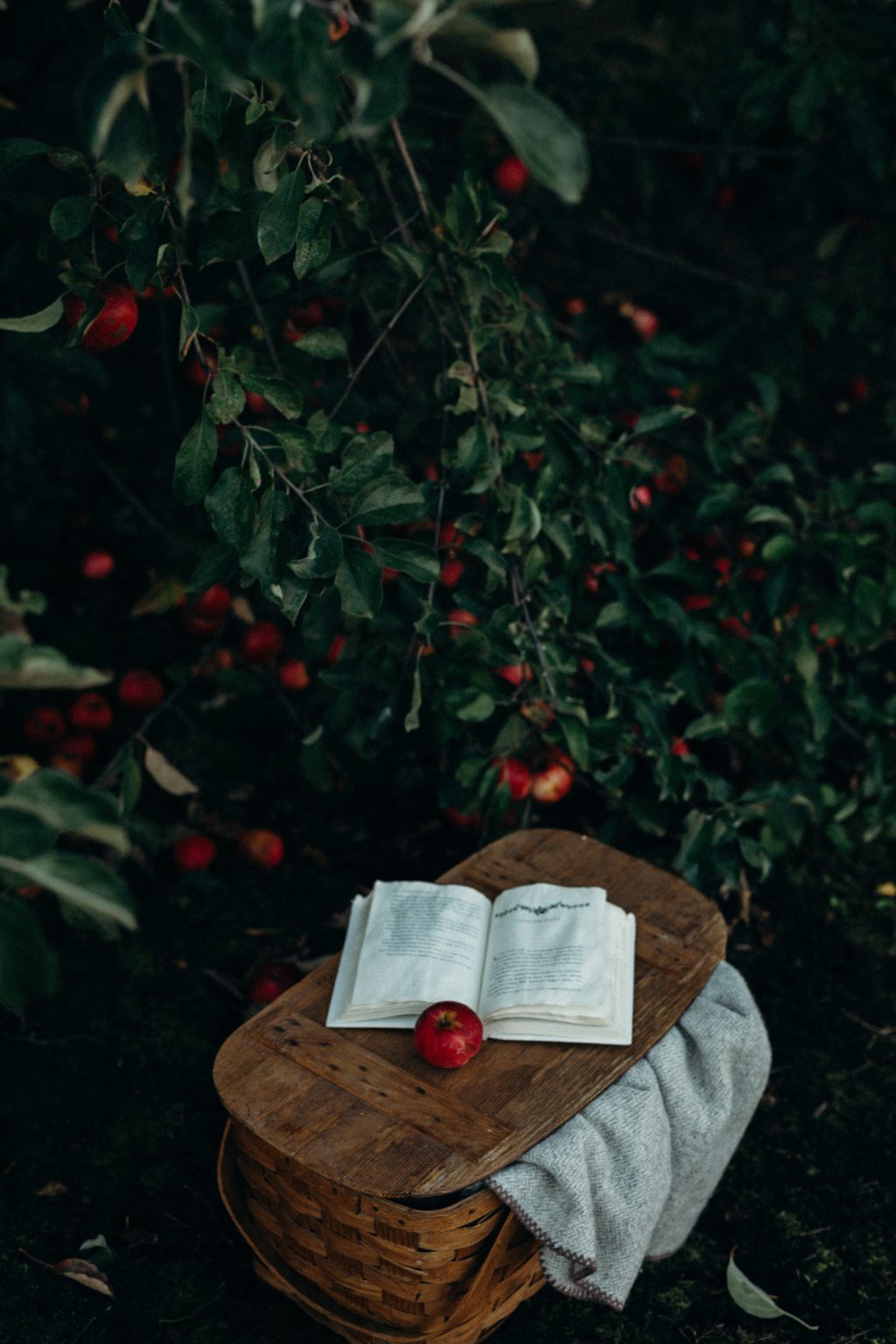 romantic shot with fruits and book