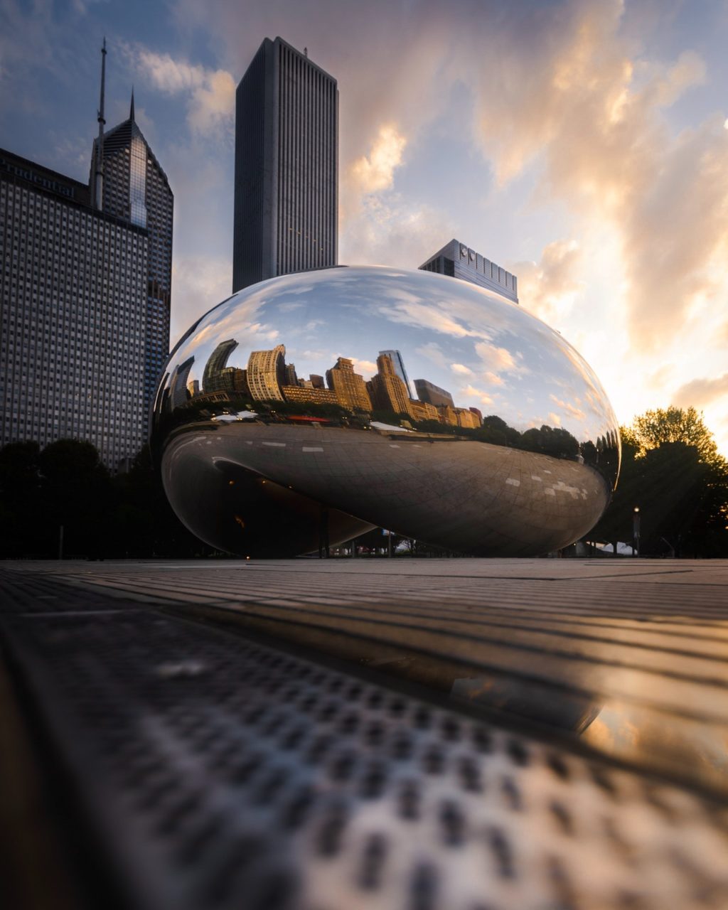 low angle photo of the bean