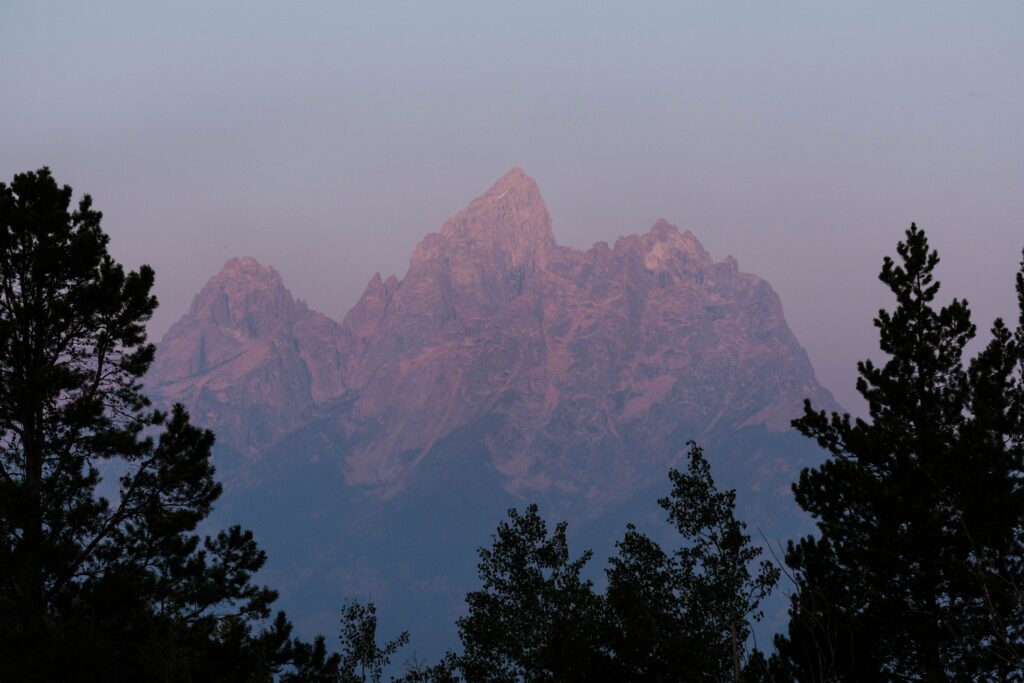 Telephoto landscape shot of mountain between trees