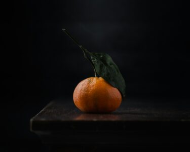 mae-mu-D0HULIZ5fyI-unsplash