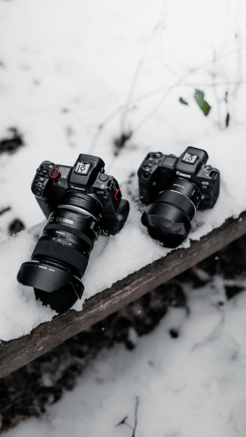 Canon R cameras in the snow