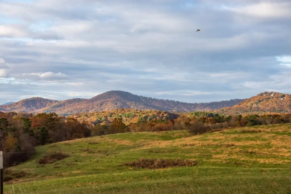 green grass field under cloudy sky during daytime with best landscape photography settings for midday