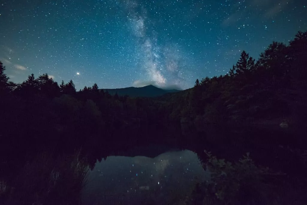 a starry night sky over a forest