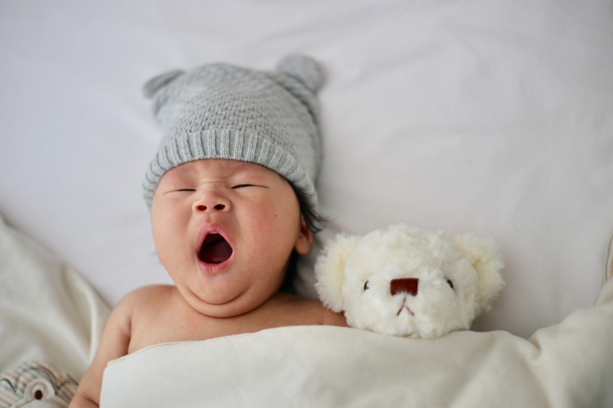 minnie-zhou-0hiUWSi7jvs-unsplash1 minnie-zhou-0hiUWSi7jvs-unsplash1