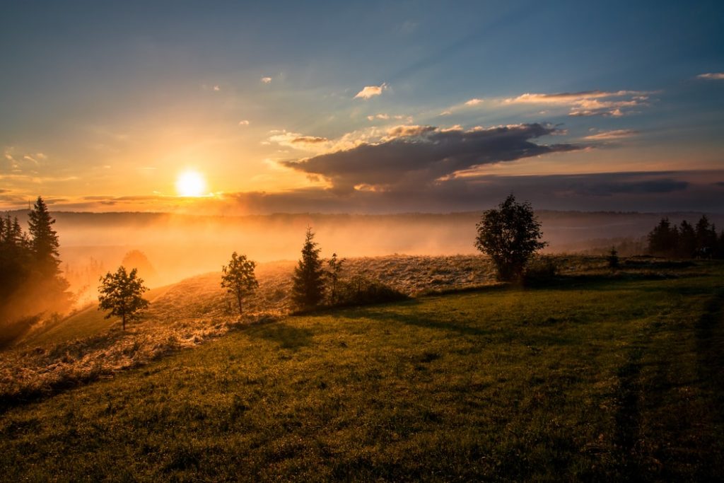 misty landscape