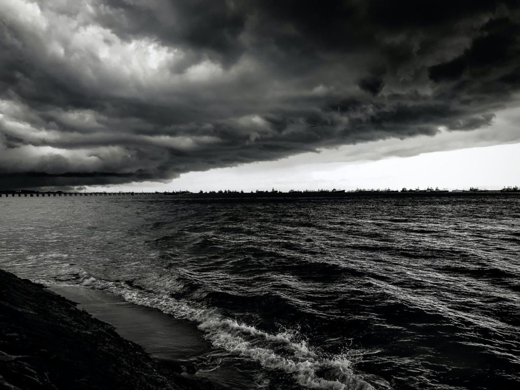 monochromatic photo of calm body of water