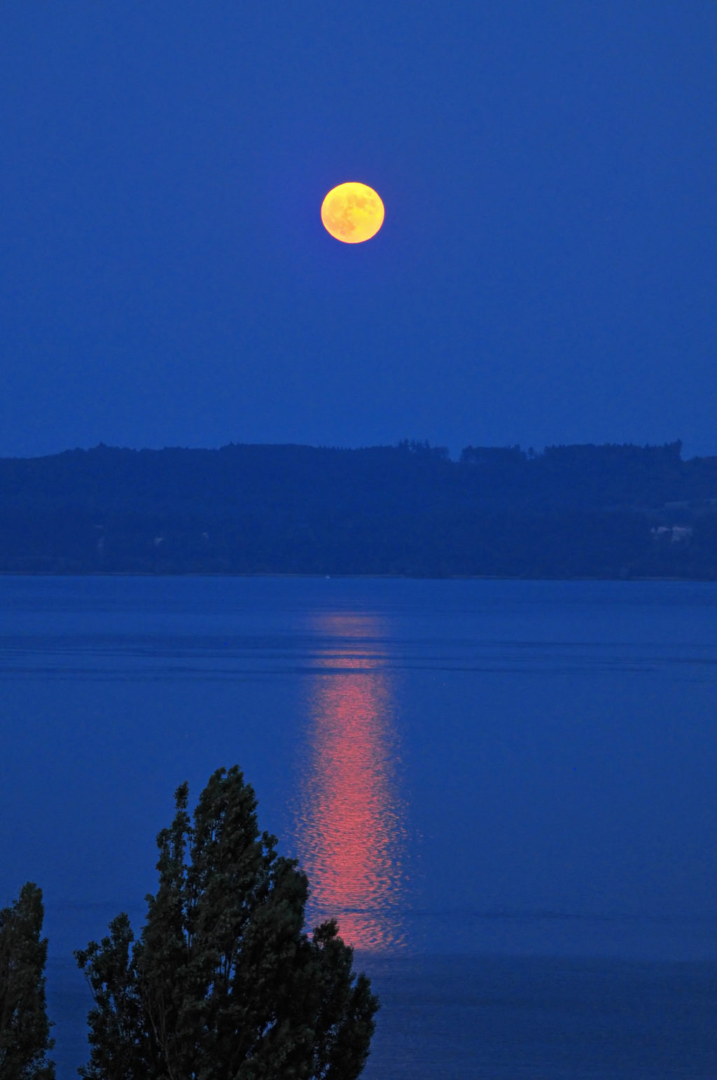 moon rising over the lake