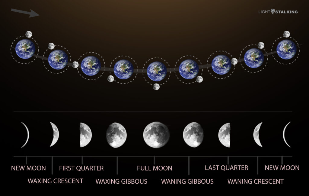 Moon phases and positions relative to the Earth.