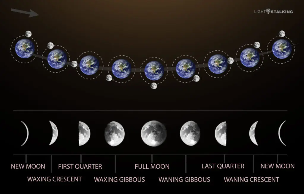 Moon phases and positions relative to the Earth.