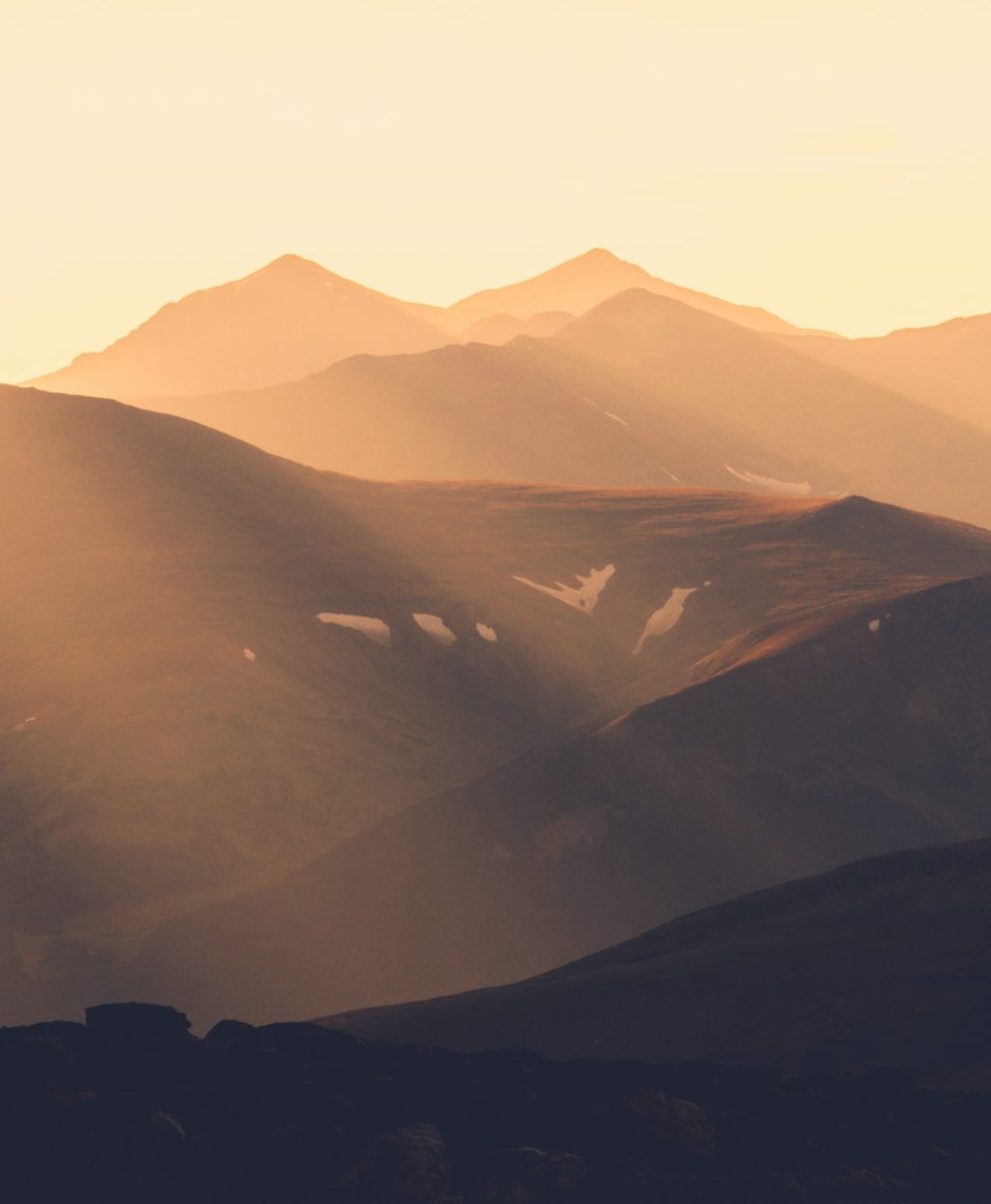 fields at golden hour