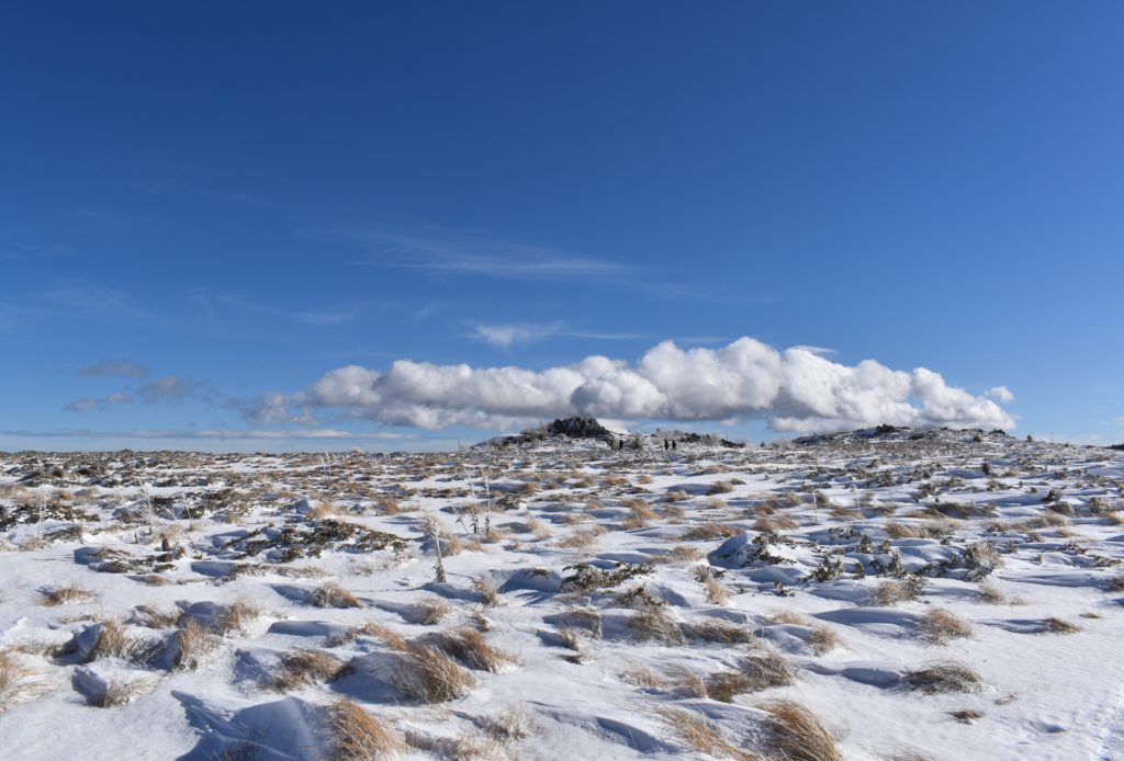 white snow covered field under blue sky during daytime