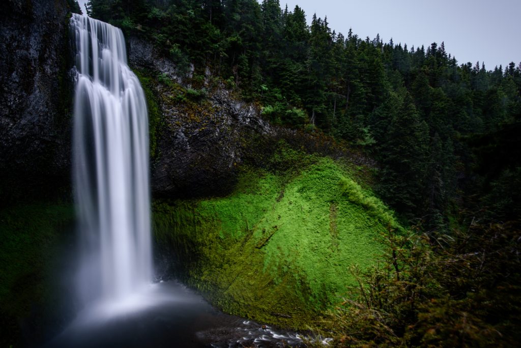 neutral density filter