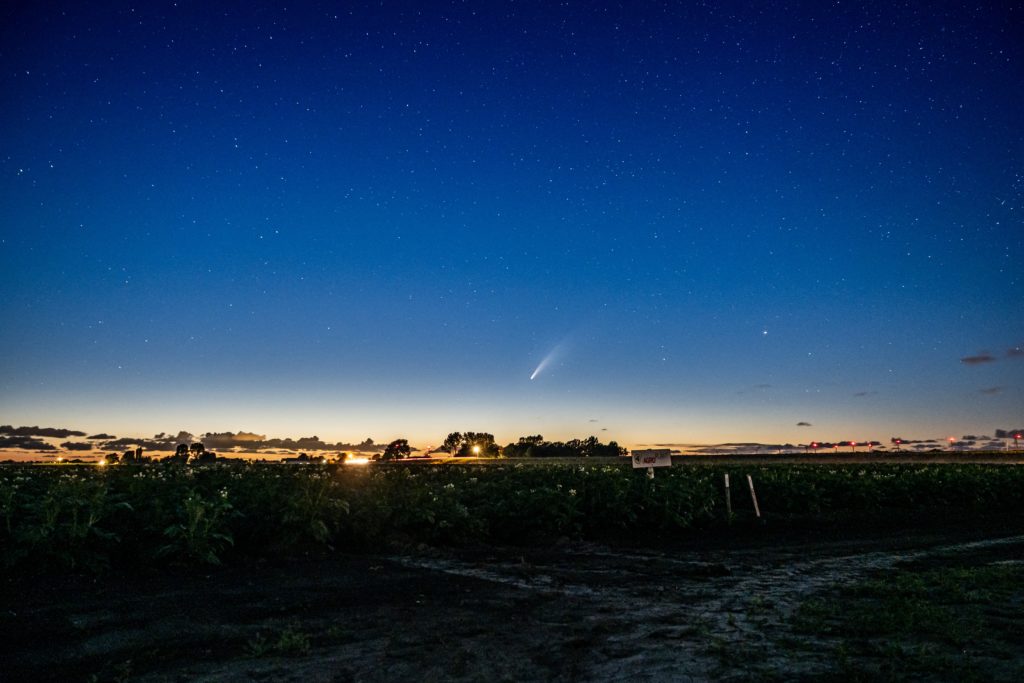 Neowise above city