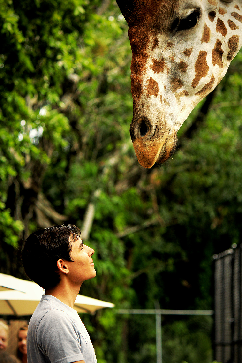 Zoo in Naples, United States