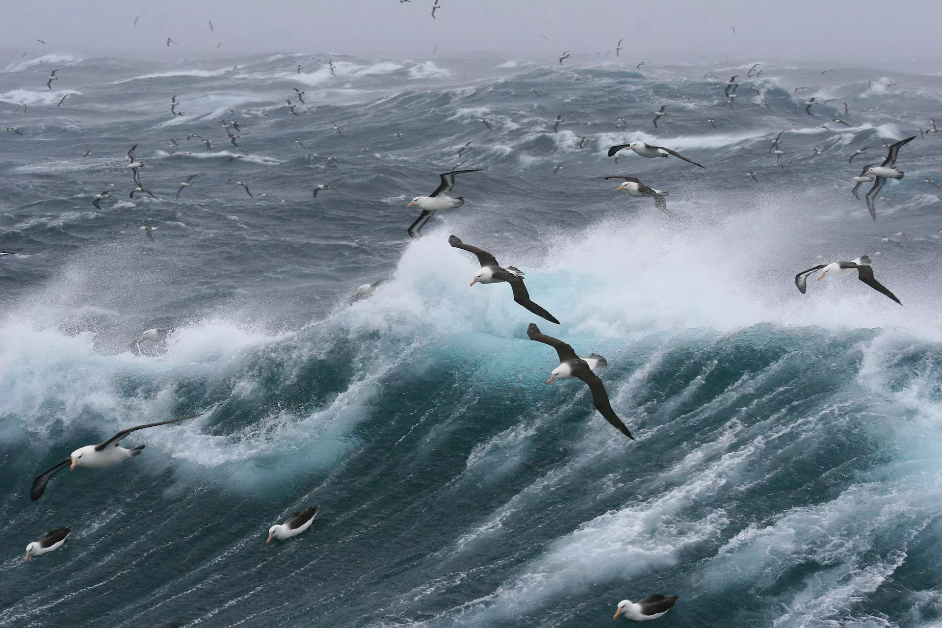 21 Photos That Will Inspire You To Photograph On A Windy Day
