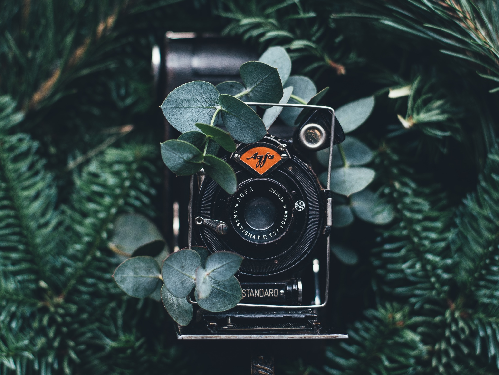 Old Agfa camera in a Christmas tree