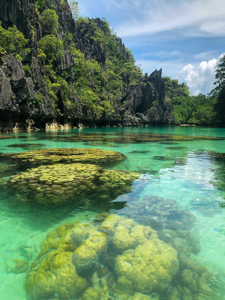 green and brown rock formation beside body of water during daytime