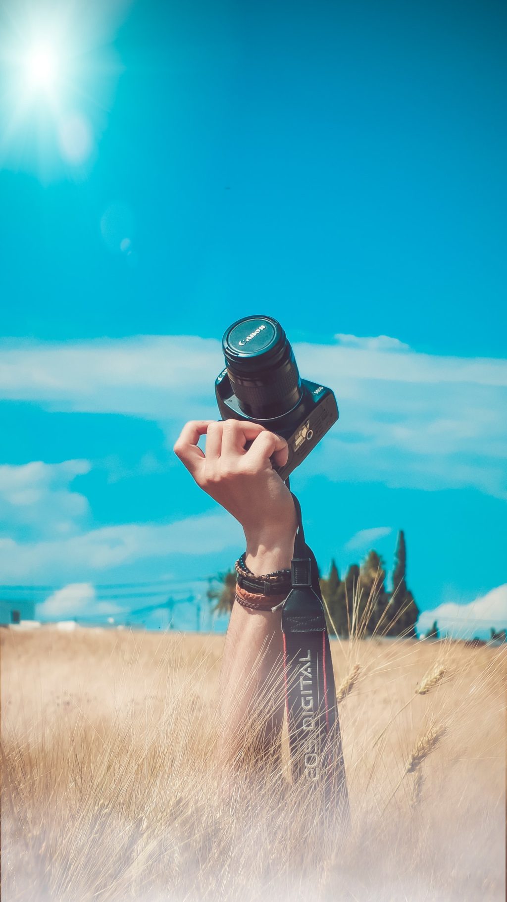 person holding black canon dslr camera kit