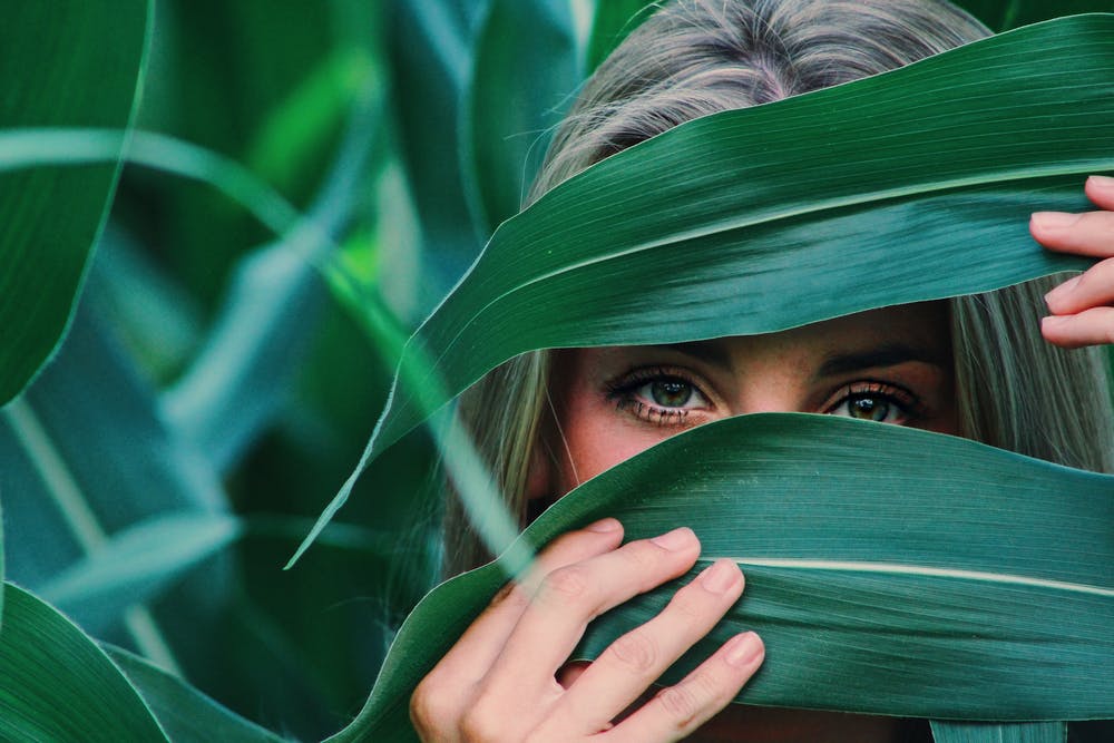 Eyes through leaf