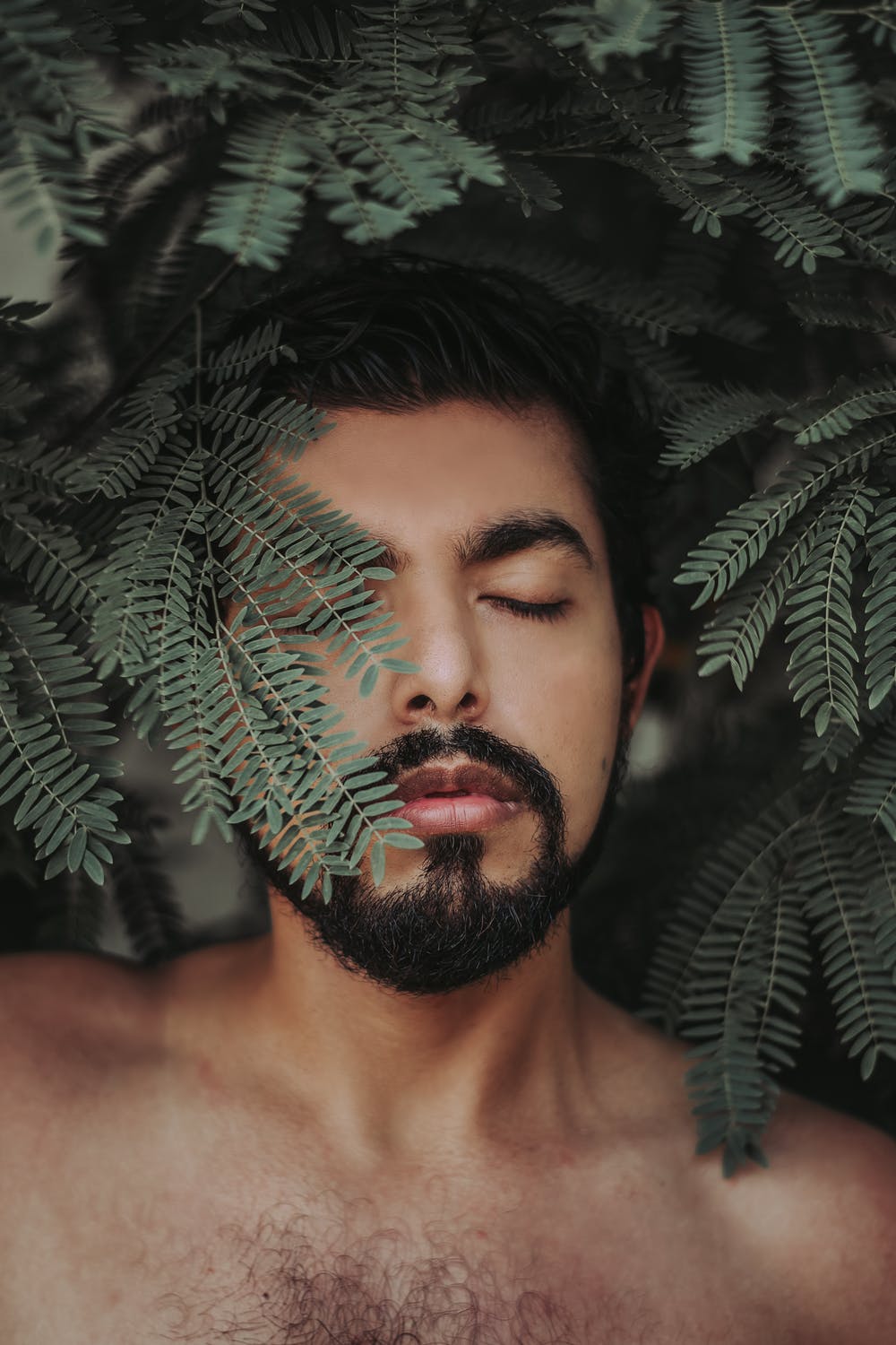 Bearded man behind leaf