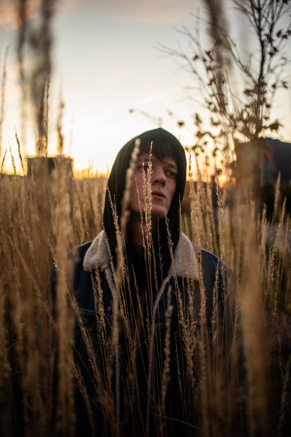 Man in field