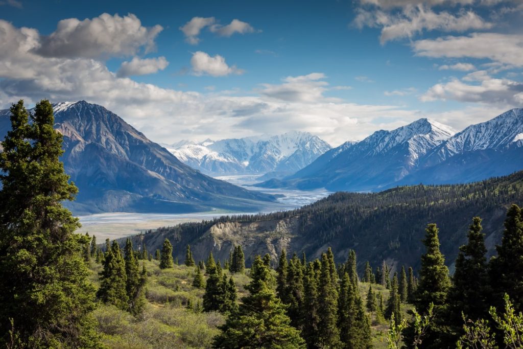 a landscape with trees and mountains