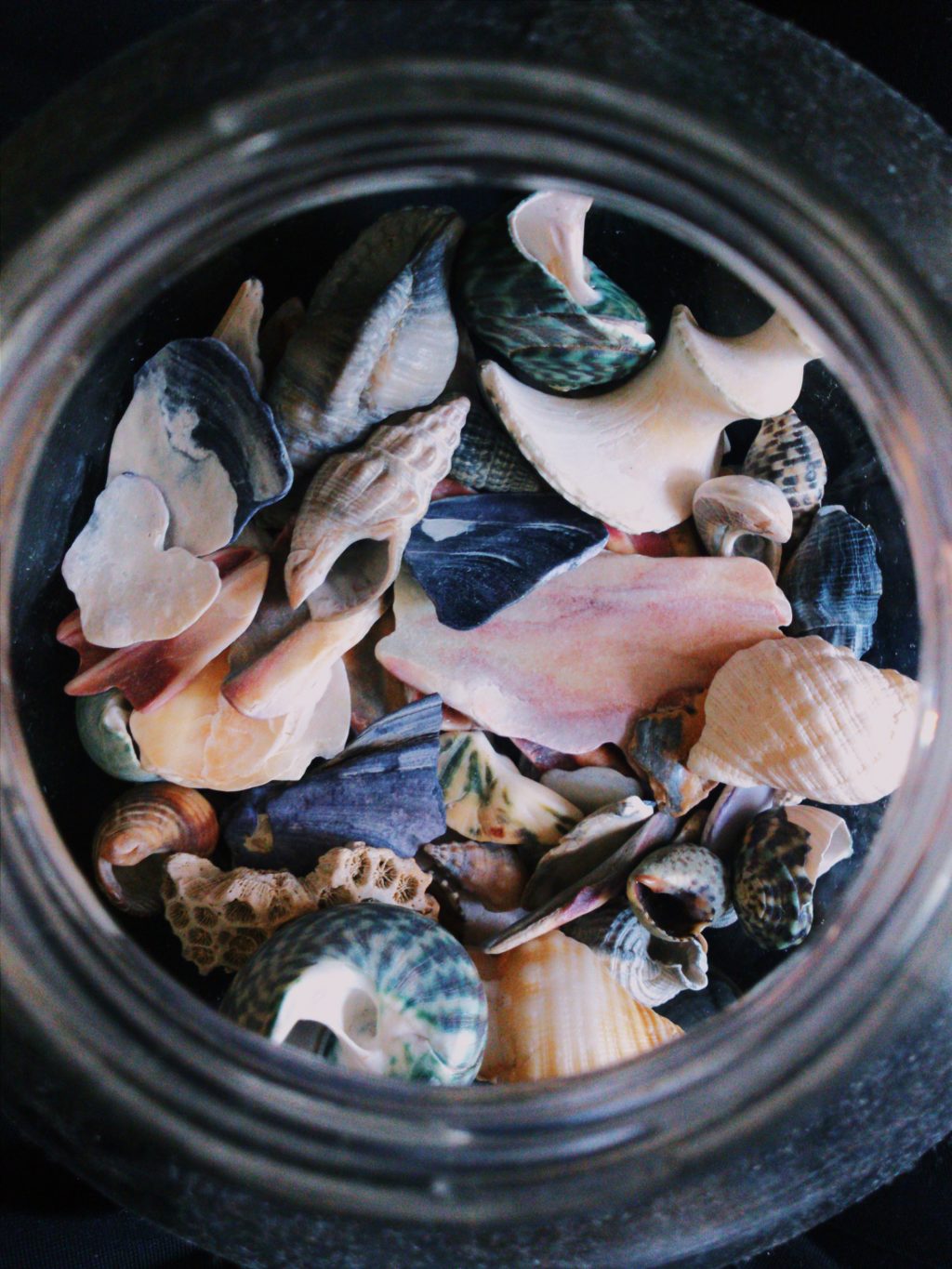 shells in a jar