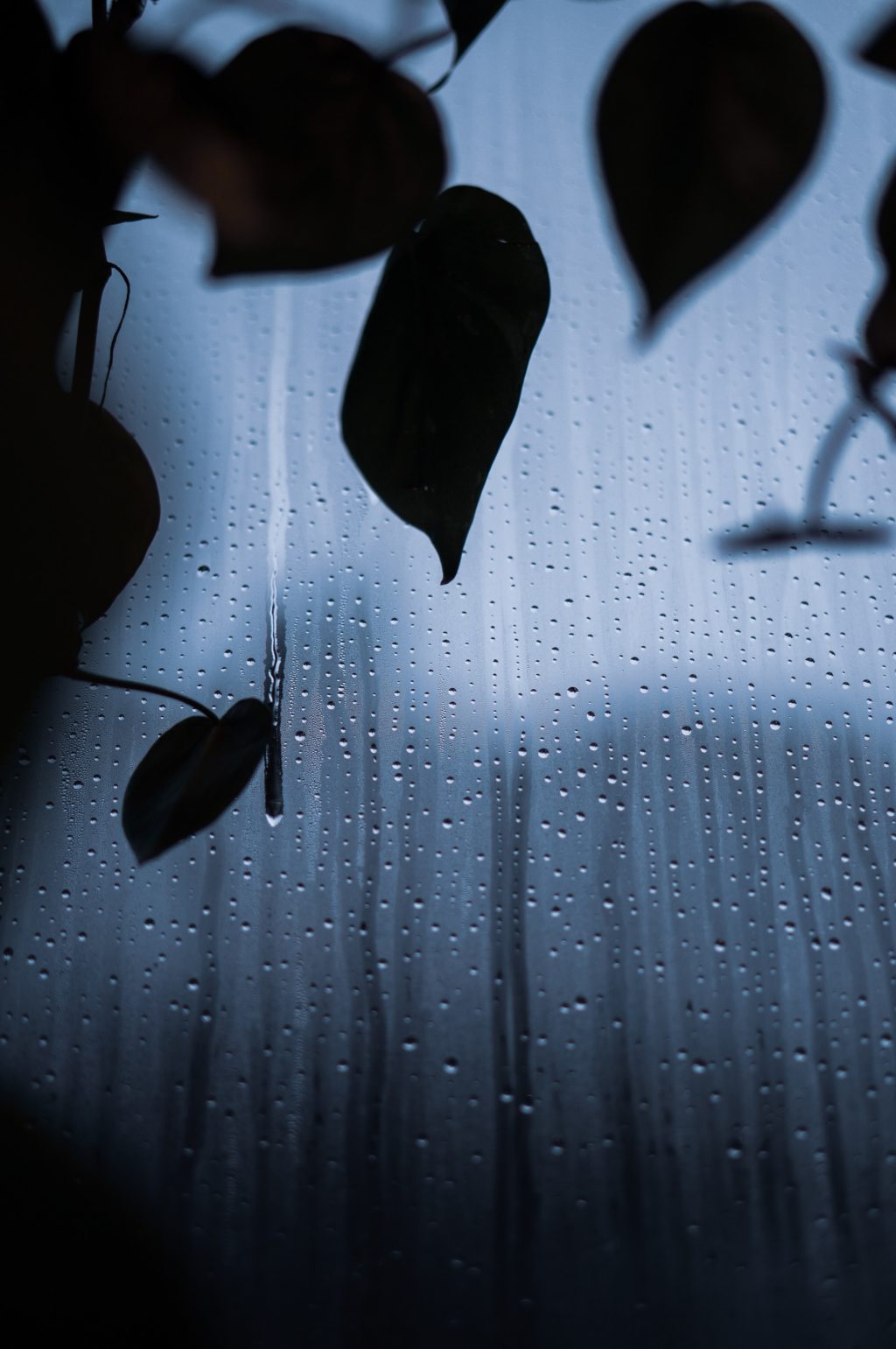 raindrops window