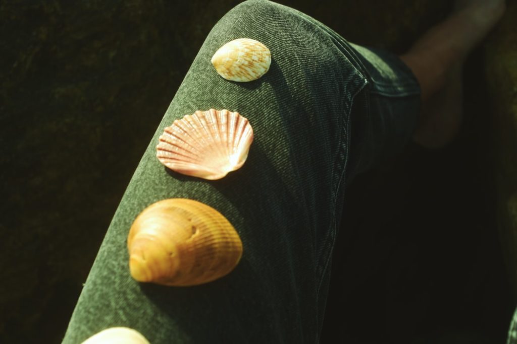 shells on a leg