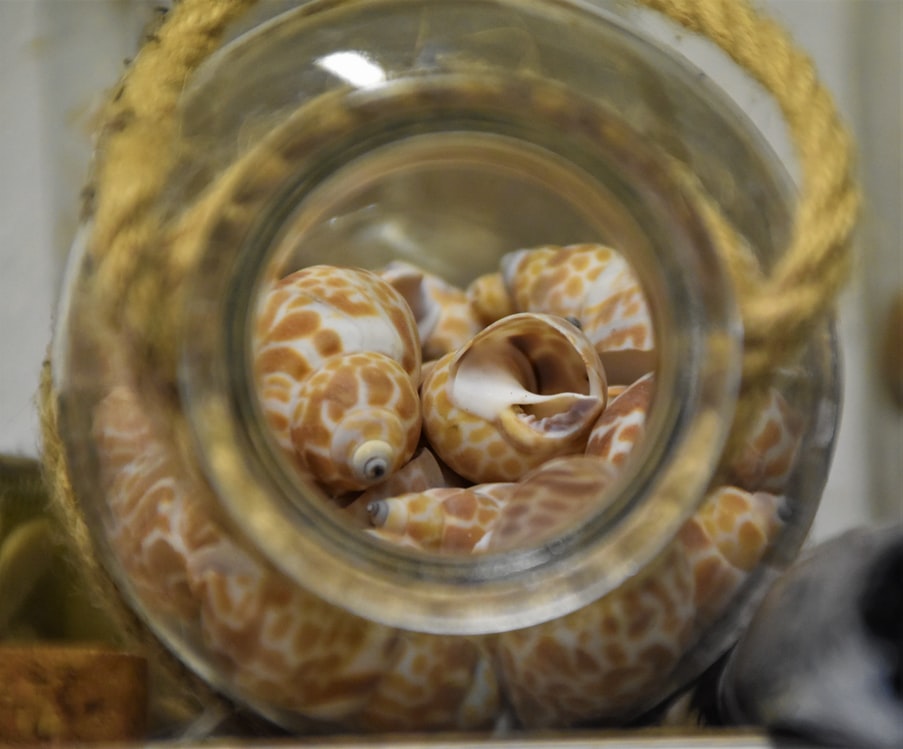 jar full of shells