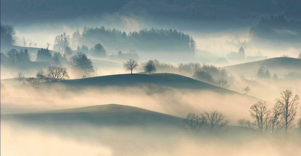 foggy landscape