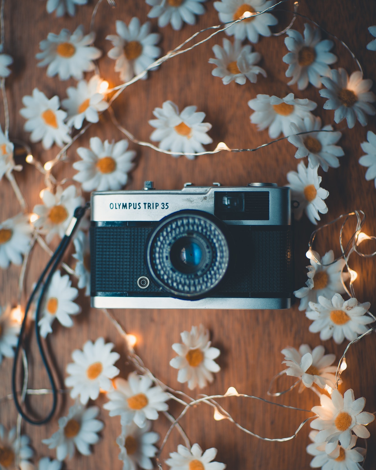 photo of analog camera surrounded by string lights