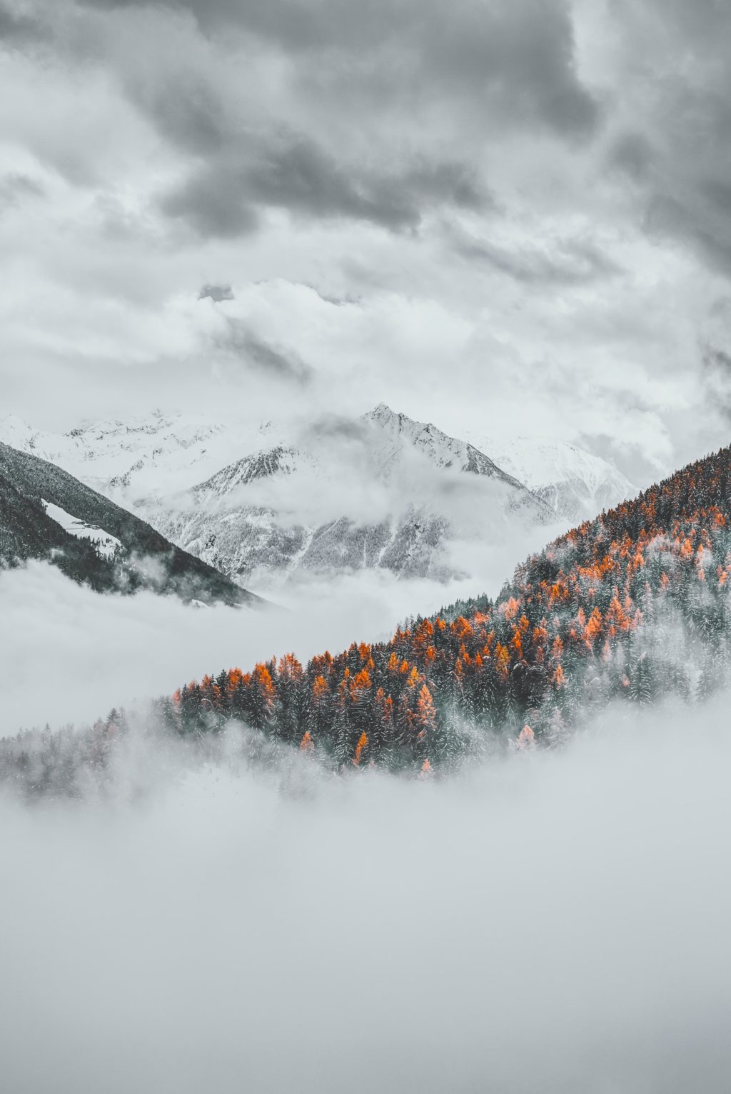 photo of trees across mountains under cloudy sky