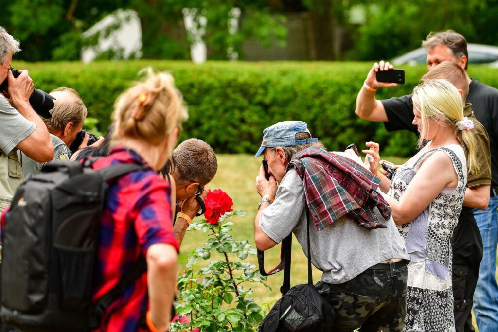Photography group in a park photographing a red flower