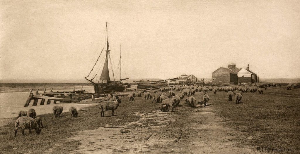 px blackshore river blythe suffolk peter henry emerson