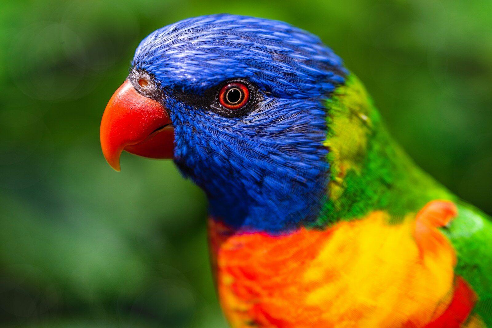 Colour photography inspiration for the August contest