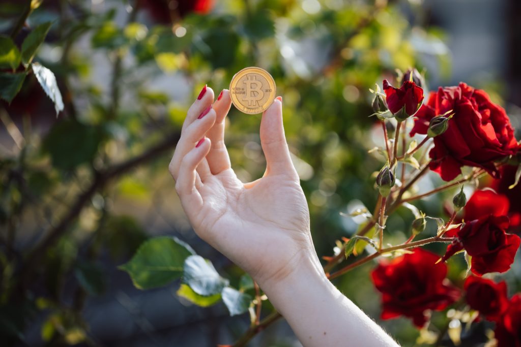 Hand holding crypro coin with rose background