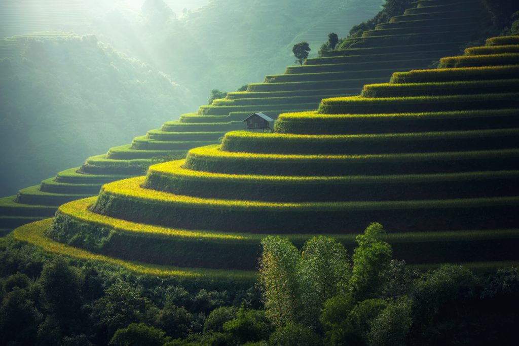 Rice paddy terraces and landscapes