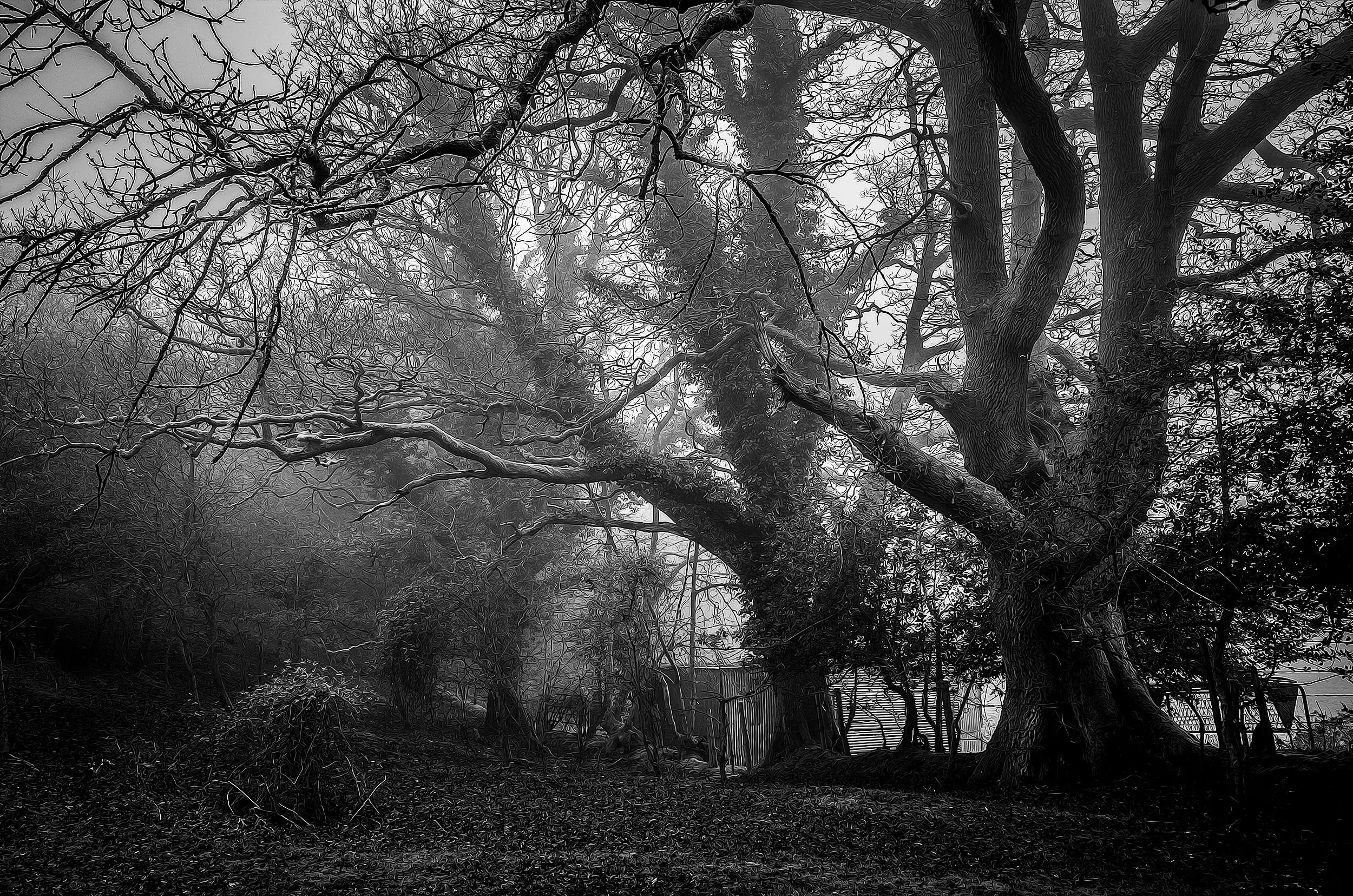 25 Spooky and Creepy Black and White Photos | Light Stalking