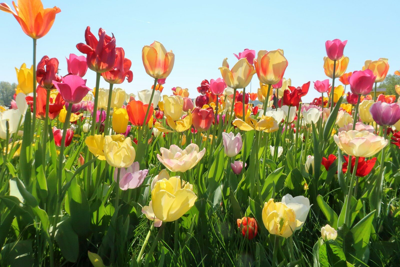 Colour photography contest inspiration