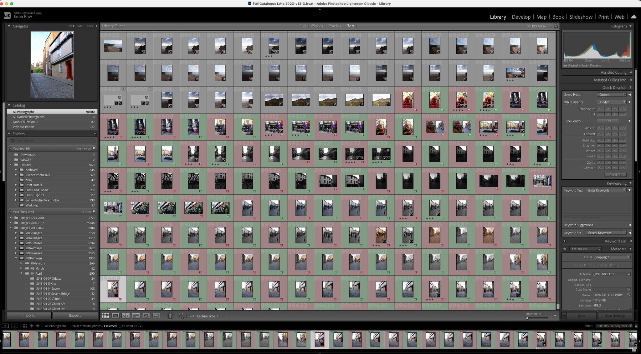 Screenshot of a large catalogue of images in Lightroom