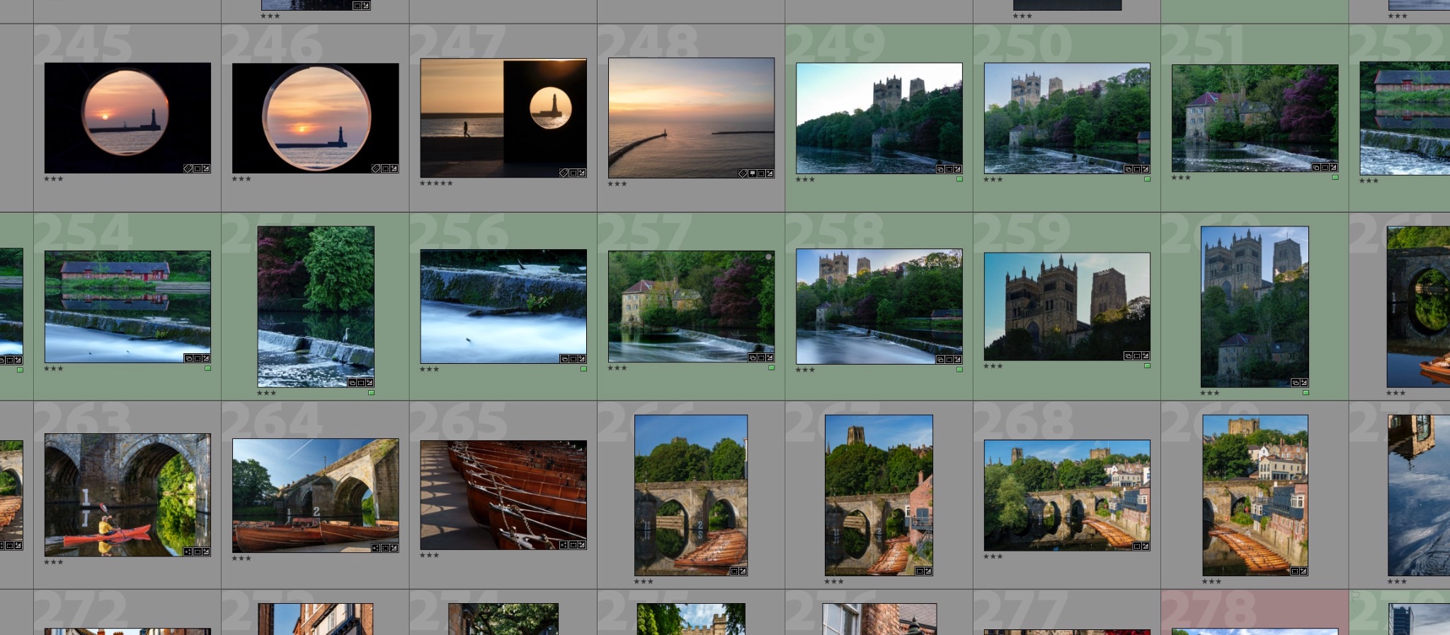 Screenshot of Lightroom Library Moduile with images rated by stars
