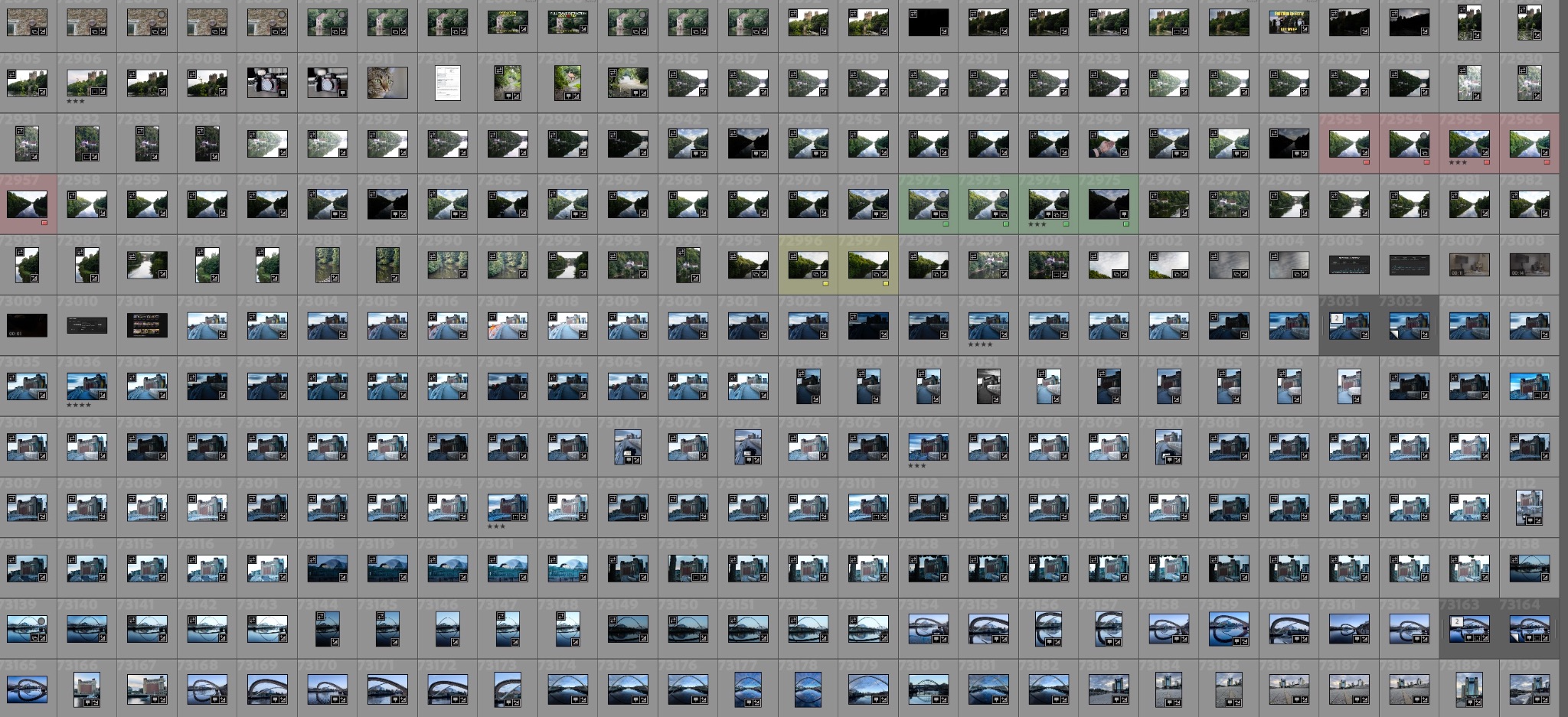 Screenshot of multiple images inside a Lightroom catalogue