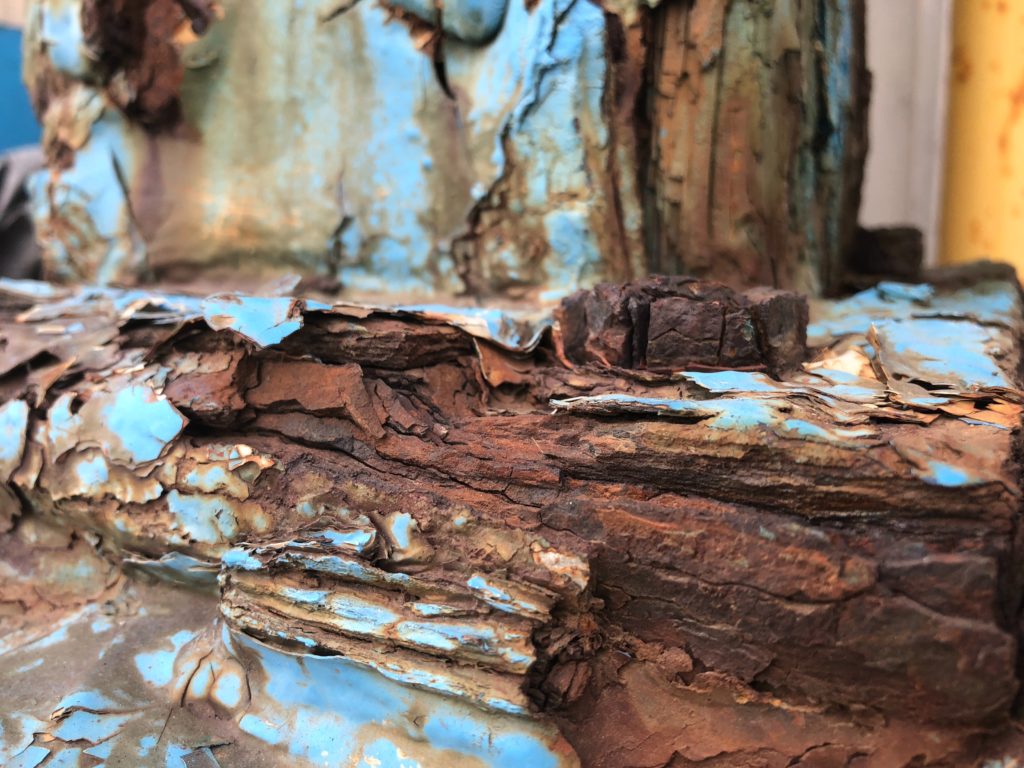 close up of rotting wood in a derelict building